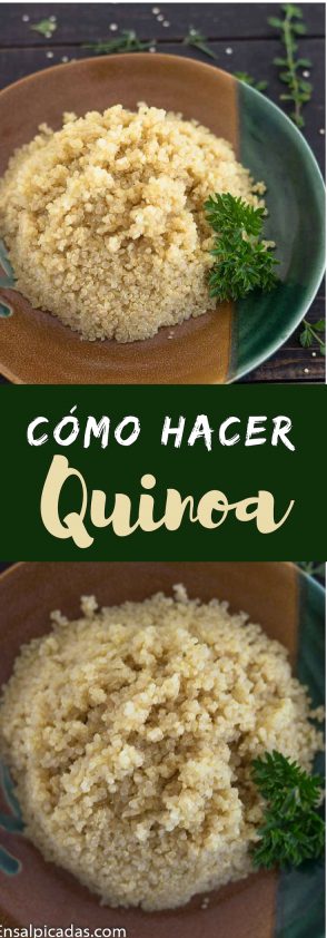 Cómo se hace la quinoa y cómo sabe el quinoa